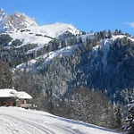 Grenat 25 By Interhome Villars-sur-Ollon