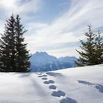 Apartment Grenat 25 By Interhome