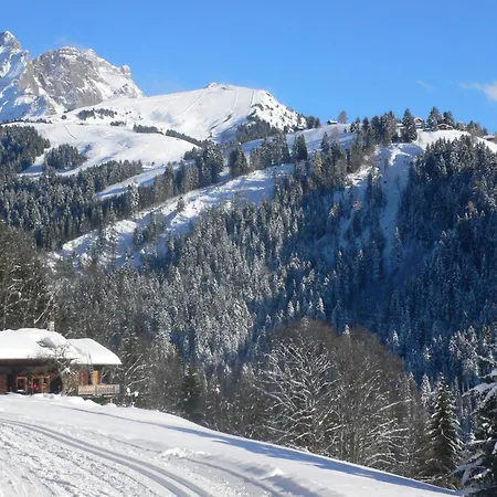 Grenat 25 By Interhome Villars-sur-Ollon