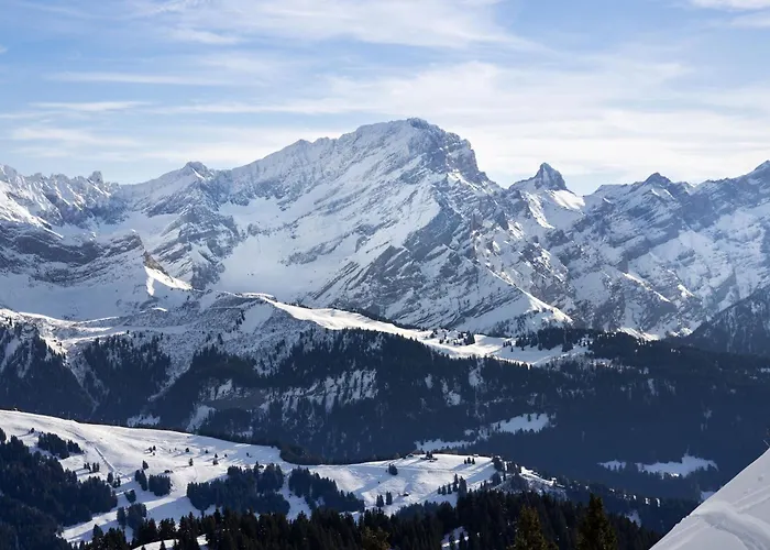 Grenat 25 By Interhome Appartement Villars-sur-Ollon