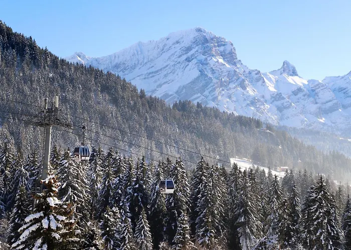 Grenat 25 By Interhome Villars-sur-Ollon