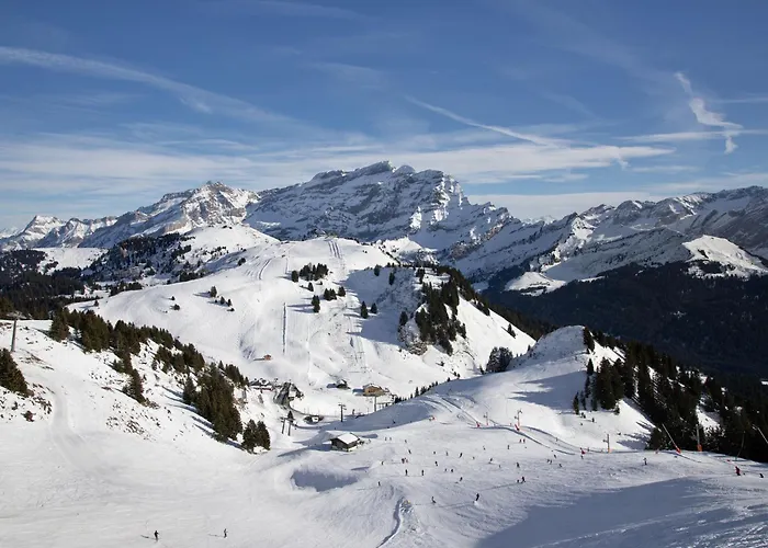 Grenat 25 By Interhome * Villars-sur-Ollon