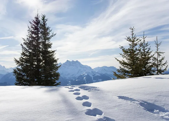 Appartement Grenat 25 By Interhome